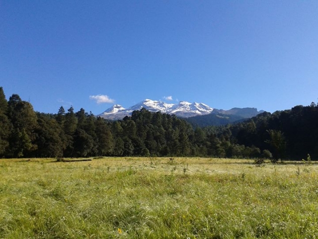 senderos del campo
